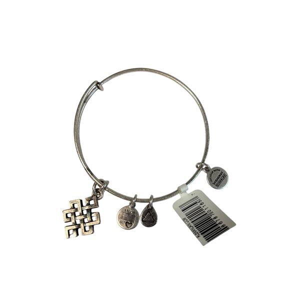 NWT Alex + Ani silver bracelet. (+)energy.  Endless knot - Picture 1 of 5
